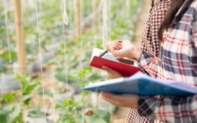 Enseignement agricole : mouvement de l’emploi