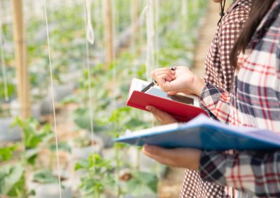 Enseignement agricole : mouvement de l’emploi